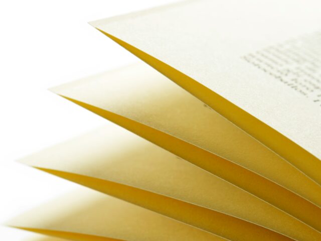 An Overview of Enduring Powers of Attorney