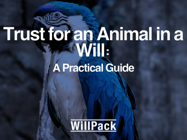 Trust for an Animal in a Will: A Practical Guide